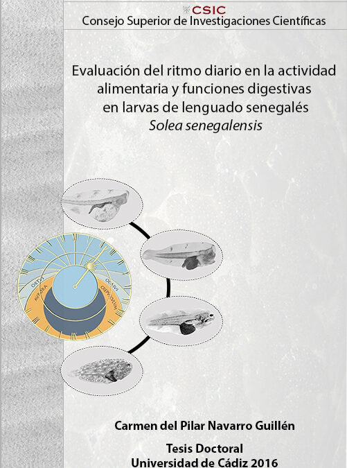 Ph. D. defense Carmen P. Navarro
