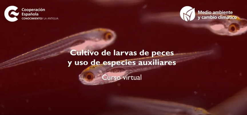 Curso internacional “Cultivo de larvas de peces y uso de especies auxiliares” (CSIC-AECID)