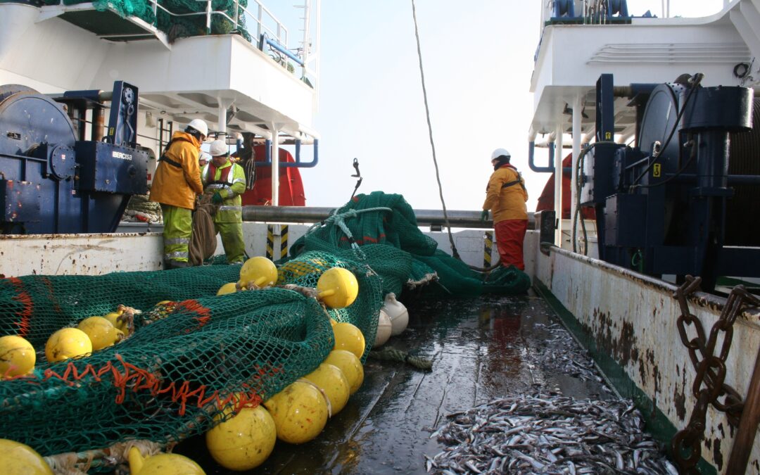 FishClim, un nuevo proyecto liderado por el CSIC para facilitar la adaptación del sector pesquero al cambio climático