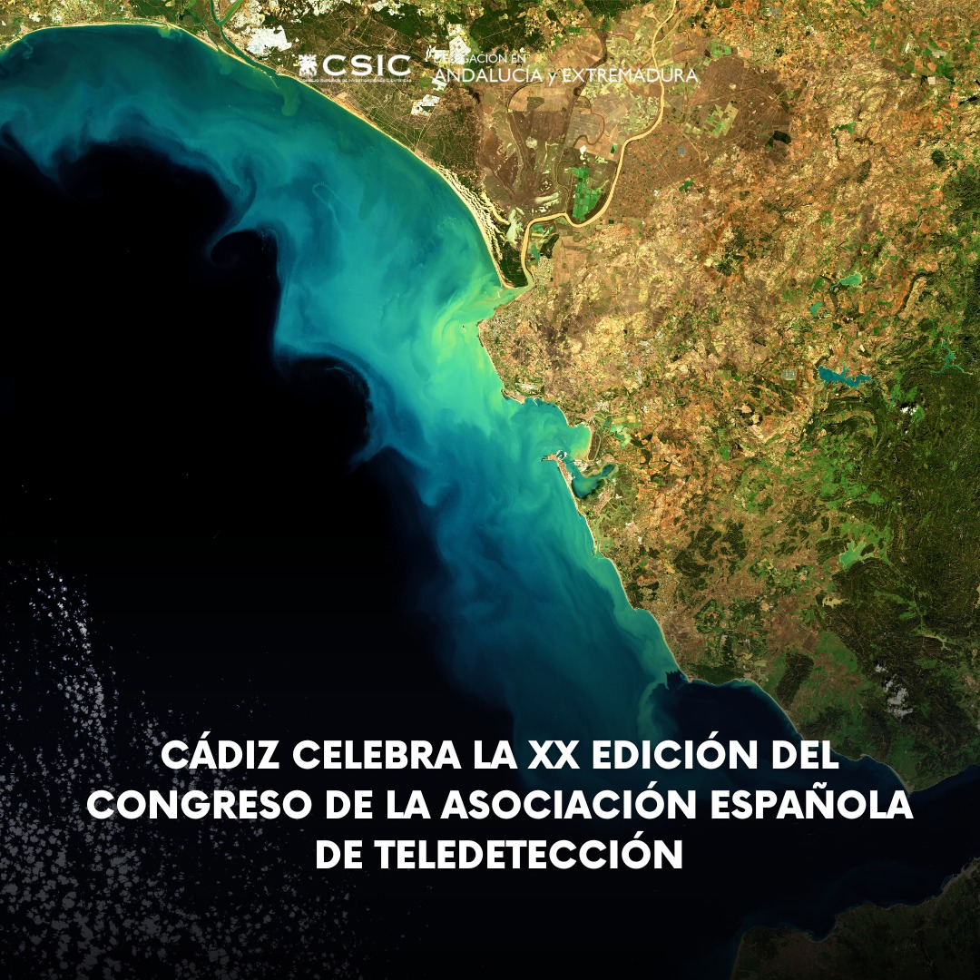 XX_Congreso_teledeteccion