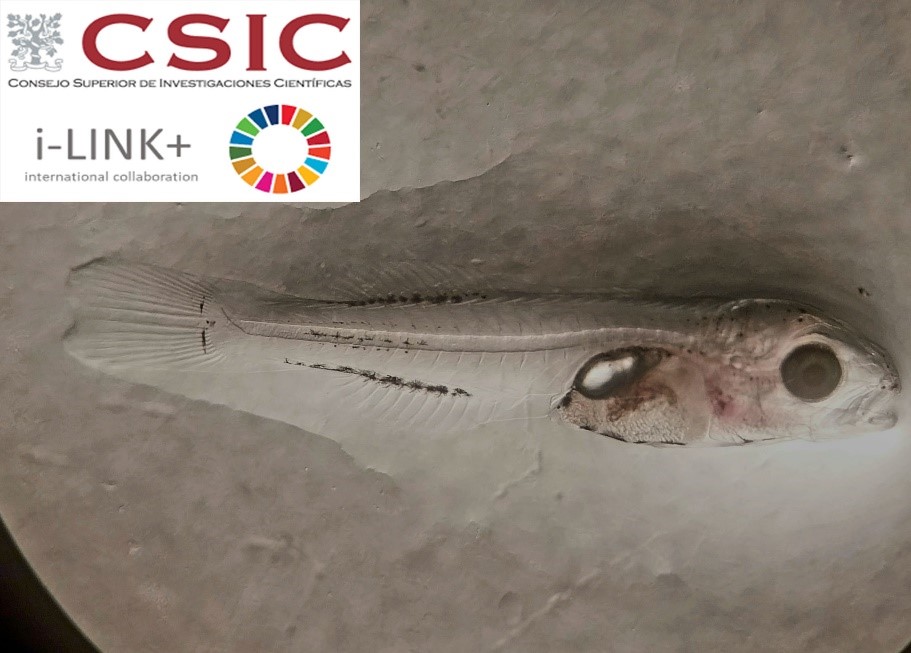 MICRO2HOST_ICMAN-CSIC The i-LINK project MICRO2HOST starts at ICMAN-CSIC